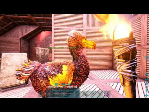 Ark Eternal dodo Evolution