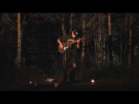 Mister Bird - Watch the Fire Dance