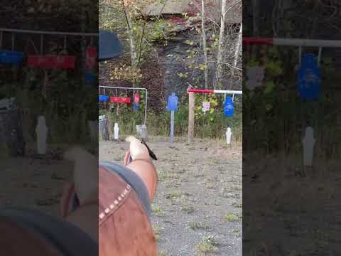 Smoke Wagon Single Action #shortsfeed #shortsvideo #shortsyoutube #shorts #guns #revolver #magnum