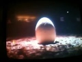 Opening To My 1987 Vhs Of Aliens