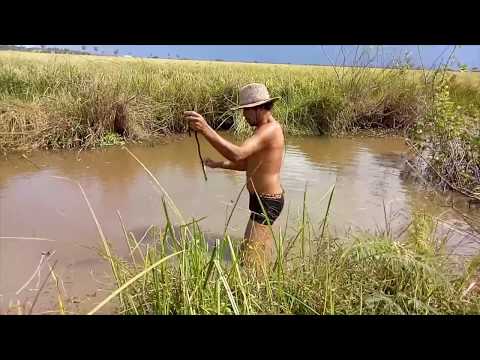 daily natural life in country side of cambodia
