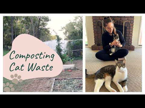 How to Compost Cat Waste and Cat Litter | Zero Waste