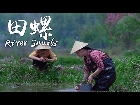 香辣田螺，从小到大都特别喜欢的一道美味【滇西小哥】