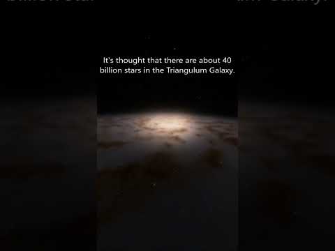 How Many Stars Are Inside the Triangulum Galaxy?