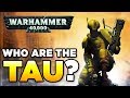 THE TAU - RACE OVERVIEW - Beginner's Guide | WARHAMMER 40,000 Lore / History