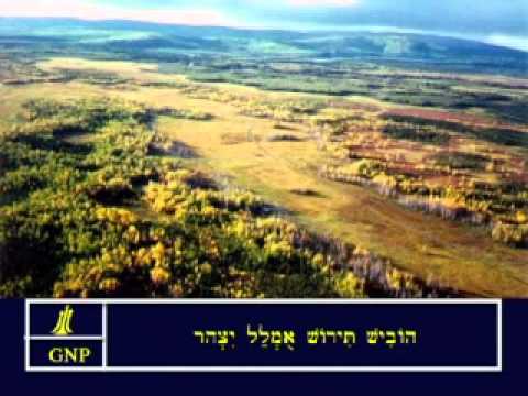 Joel 1 Hebrew Picture Bible