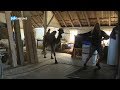 Remy en zijn vrienden: kameel Fayen gaat verhuizen #16