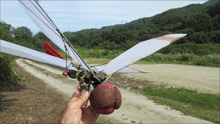 Dragonfly 2 v2 third video : Flight after a long time