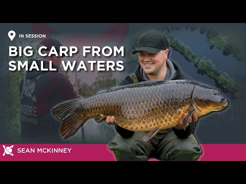 Catching Big Carp From Small Waters | CC Moore Carp Fishing | Sean McKinney | Grendon Lakes