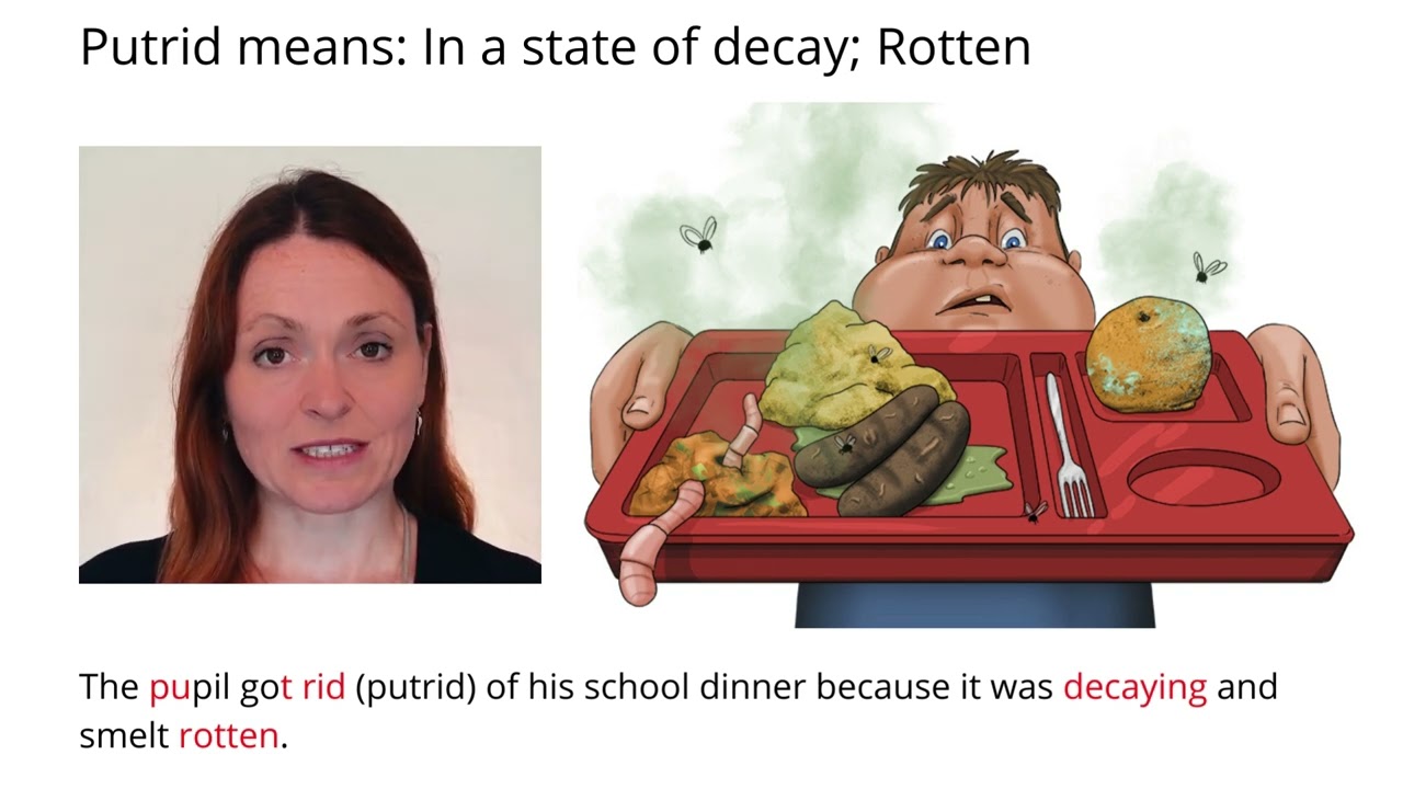 Remember Meaning Of Putrid Using Pictures and Mnemonics
