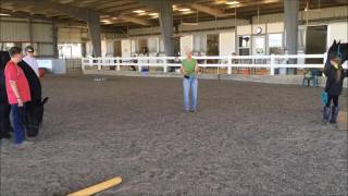 Between Horses and Humans – About The Program