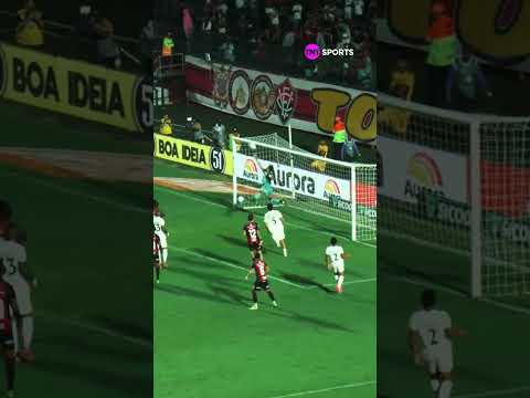 O TORCEDOR DO BOTAFOGO VAI TER PESADELOS COM O GOLEIRO LUCAS ARCANJO #shorts