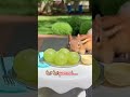 Dhika Chika Dhika Chika Dhinka Chika Song Squirrel Eating Nuts
