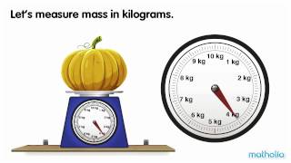 Using a Scale - Kilograms