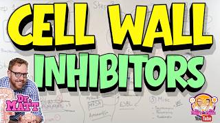 Cell Wall inhibitors | Antibiotics