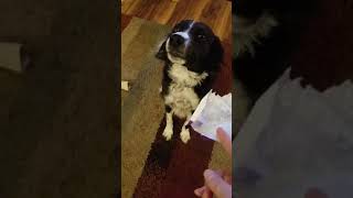 Tell the truth, Letti!