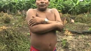 Kiarãsâ yõ Sâti - O Amendoim da Cutia