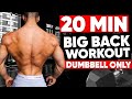 20 MIN BACK WORKOUT DUMBBELLS ONLY