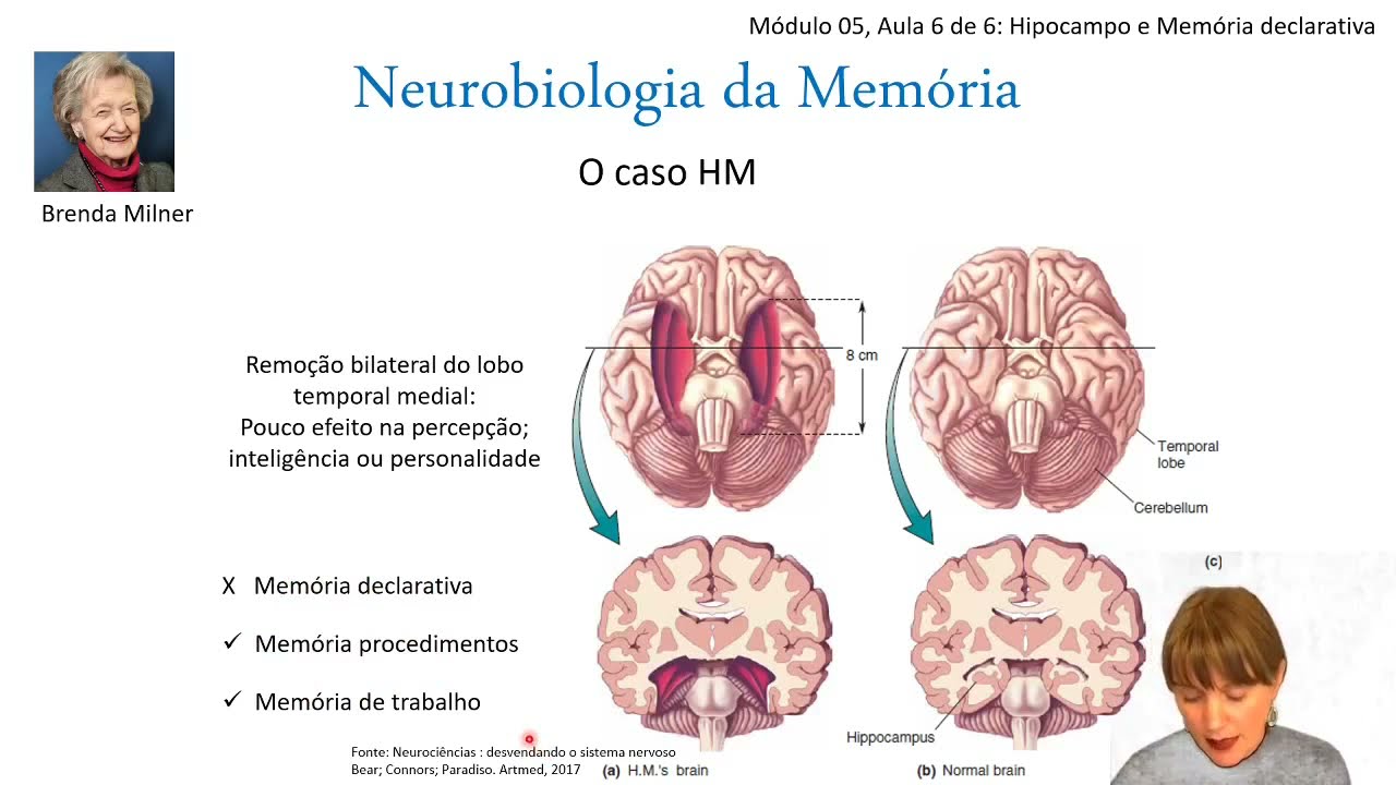 Neurobiologia da memória M5 A6 Hipocampo e Memória declarativa