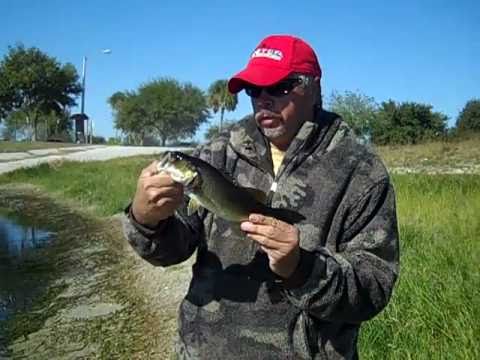 Bass Fishing at the pond 12-7-2010