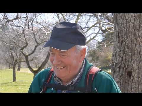 Baumschnitt Hödingen mit Konrad Hauser