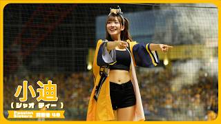 進擊取勝📣小迪（シャオディー） Passion Sisters 中信兄弟啦啦隊 臺中洲際棒球場 2024/10/25【台湾チアTV】