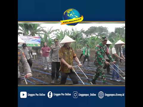 Polres Lubuk Linggau Tanam Jagung, Demi Swasembada Pangan 