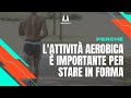 Perché L Attività Aerobica è Importante Per Mantenerci In Forma E In Salute