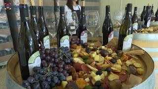 Նոր գինի․ տնտեսական և քաղաքական մարտահրավերներ Новое вино: экономические и политические вызовы