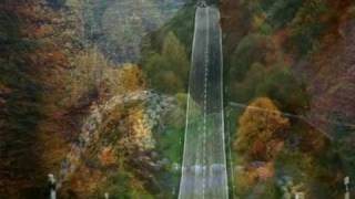 Roy Orbison   I drove all night©