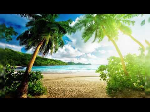 UNDACOVER - SUMMERTIME (FREE TRACK)