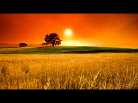 【1486】 Bom plantador