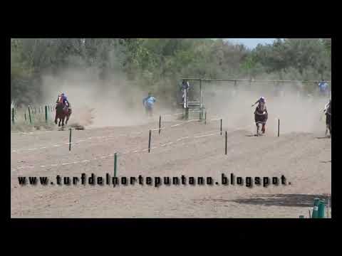 Mimosa, San Luis (17-12-22)