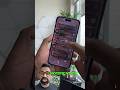 Fix Broken Notifications On Your IPhone With This Hidden Setting