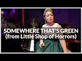 Alan Menken Somewhere That S Green From Little Shop Of Horrors Live Piano Cover By PianistMiri