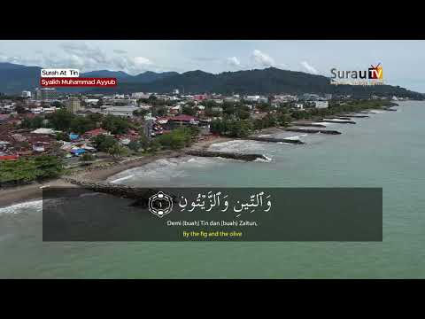 Murottal Al-Qur'an | Surah At Tin - Syaikh Muhammad Ayyub