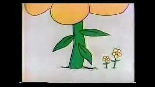 Sesame Street Typewriter Guy - D for Daisy