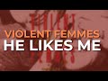 Violent Femmes - He Likes Me (Official Audio)