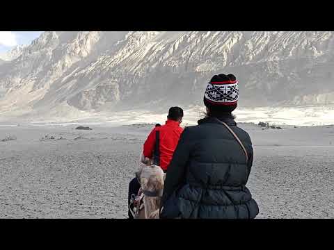 Camel ride@sand dune at Nubra valley @Ladakh.