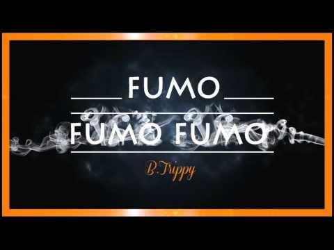 B Trippy - FumoFumoFumo
