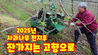 사과나무 전지 후 파쇄 하여 고향으로 돌려 보내기 충북 괴산 가을농원 (사과재배방법)