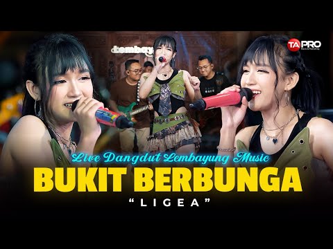 TA PRO Music & Publishing and Ligea Channel