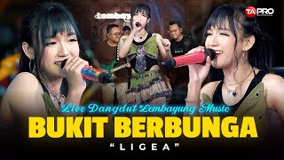 Download lagu BUKIT BERBUNGA - LIGEA (Live Dangdut Lembayung Music) | Bukit Berbunga Bukit Yang Indah mp3