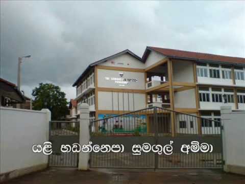0.jpg