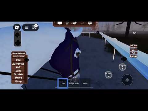 I got dragged TWICE? First racing lesson on Zoombie