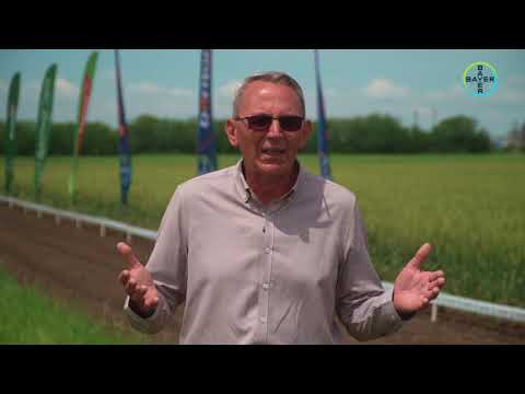 Bayer Agro Arena Caracal 2021