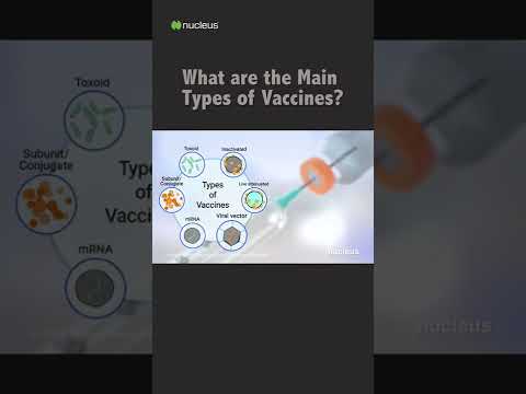 What are the Main Types of Vaccines? #shorts