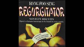 Regurgitator Live at the Wireless 1995 - 3. &#39;Kong Foo Sing&#39;