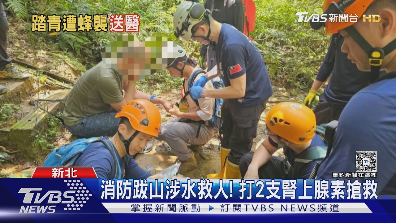 瑞芳三貂嶺步道2登山客遭蜂群圍攻 1人一度昏迷不醒