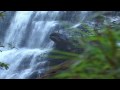 Relaxing Music Therapy - Relaxing Nature Scenes ...